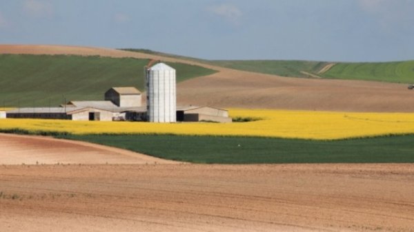 Cooperativa Agraria